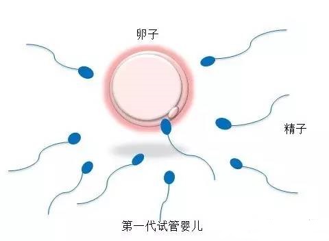 中心环境